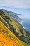 The Way of Story at Esalen, August 11 – 16, 2013