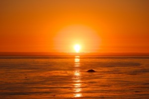 Esalen sunset and whale