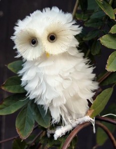 white owl - Copy
