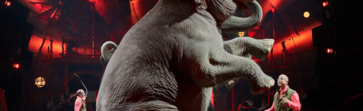 Elephants & Perspectives Elephants & Perspectives